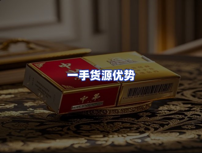 专业团队